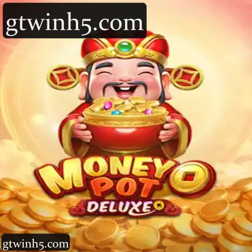 MoneyPotDELUXE